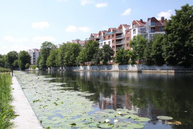 Apartament Bello - Free Parking Gdańsk Exterior foto